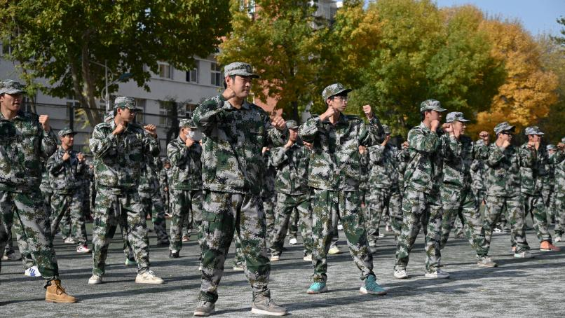 1699864109716860.png 图片 10.png